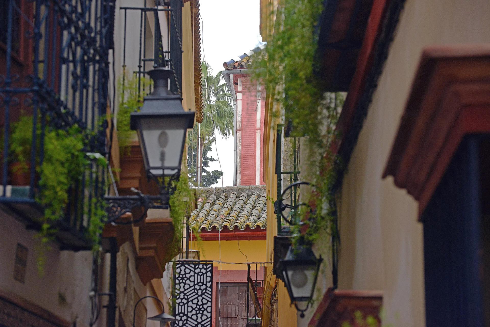 Calle estrecha de Santa Cruz con faroles y rejas en los balcones