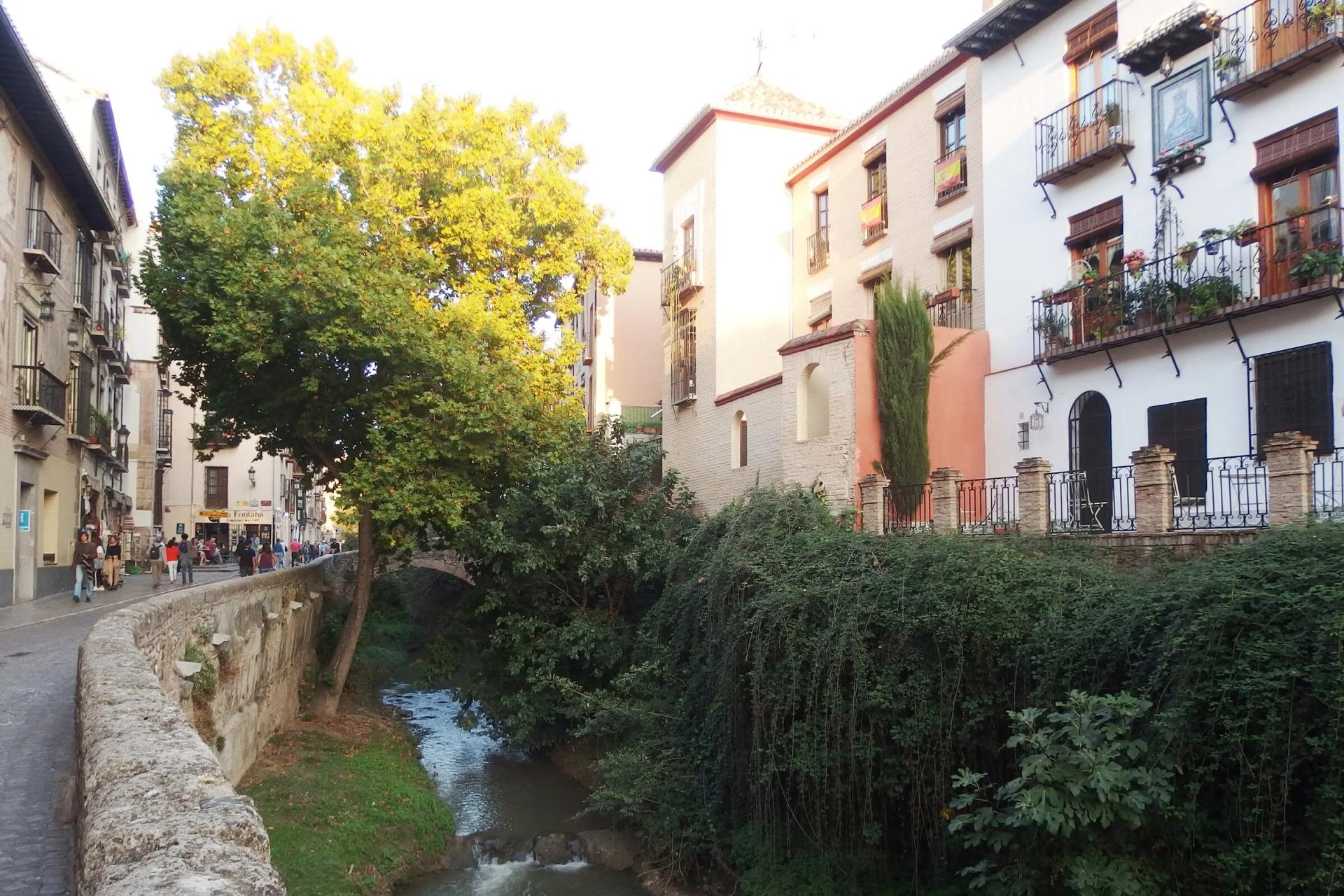 La Carrera del Darro junto al pretil de piedra, con el río entre la vegetación y casas con balcones