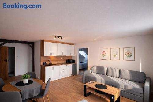 Apartamenty Nad Pilicą - Klimatyzacja - Sulejów