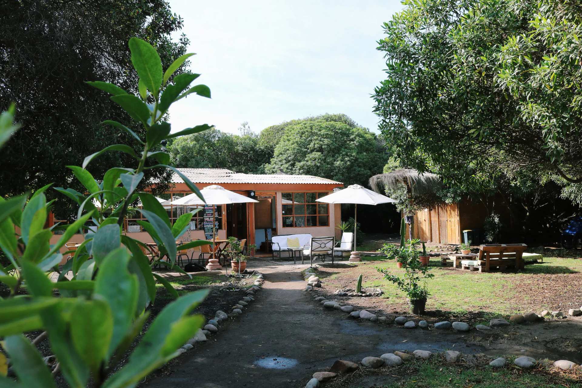 Eco Refugio El Arbol