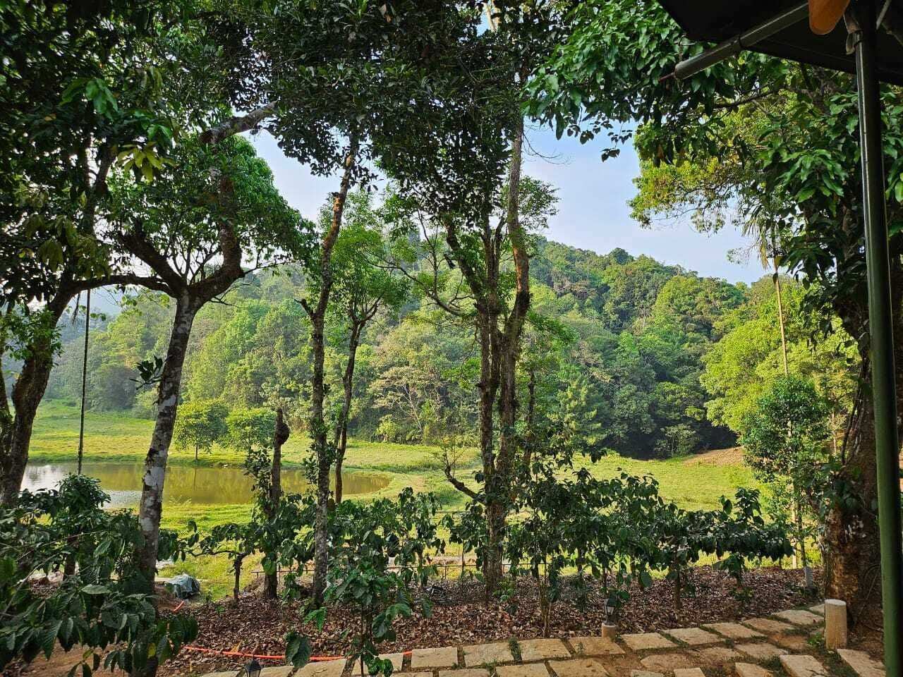 Three Hills Resort & Spa, Coorg