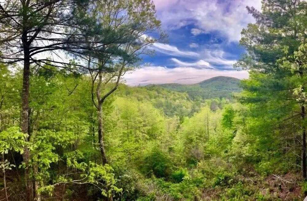 Calabaza Hill en Little Bear Pen- tres niveles con una vista!